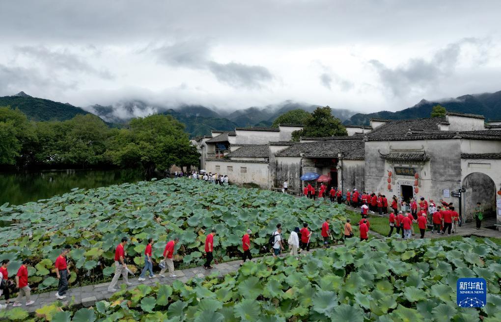 微乐斗地主电脑版官网在哪下载